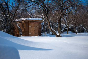 Garden shed in winter