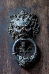 Devil's head bronze knocker door