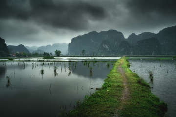 Vietnam nature landscape green mountains reflected in the water