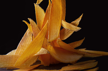 mango dried slices