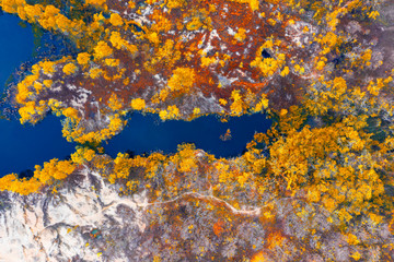 Aerial view and top view of natural pond surrounded of natural the forest texture