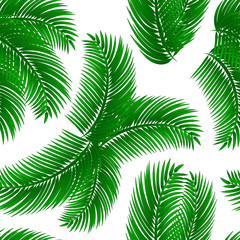 Green palm leafs seamless pattern on white isolated background. Tropical abstract texture, vector illustration.