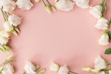 Fototapeta na wymiar White flowers on pink background