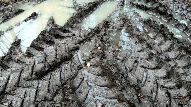 Harvester-Spuren im Wald
