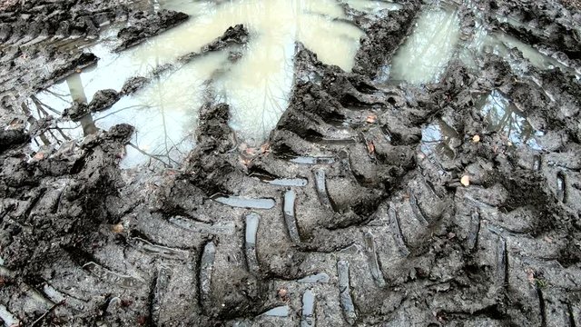 Harvester-Spuren im Wald