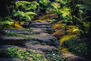 Hiking trails simulating tropical forests