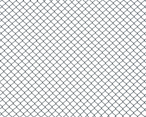 cage metal wire on pale white background