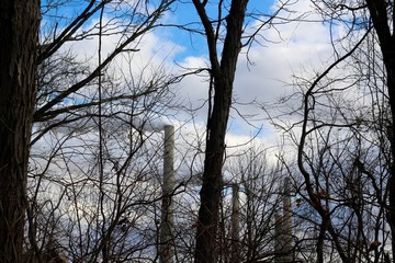 The smoke from the stack in the background though the trees.