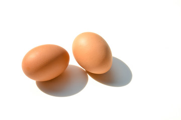 chicken egg with shadow on a pale white background