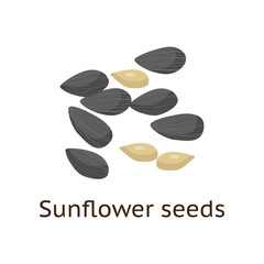 The fruit of the plant is a hard-shelled nut with an edible core.