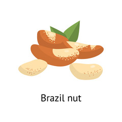 The fruit of the plant is a hard-shelled nut with an edible core.
