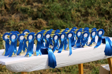 Golden colored trophies waiting for winners at an equestrian event summertime