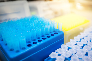 Micropipette tips and Centrifuge tube used for keep liquid samples. Equipment in laboratory.