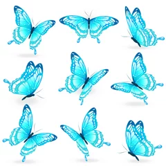 Lichtdoorlatende rolgordijnen zonder boren Vlinders mooie blauwe vlinders, geïsoleerd op een witte