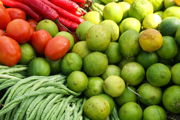 Vegetables at garden
