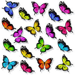 beautiful color butterflies,set, isolated  on a white