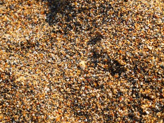 砂浜の砂利