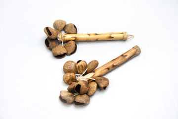 Ethnic musical instrument. Chestnut fruit rattle with handle.