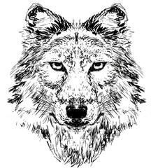 wolf head hand drawn illustration,art wall inspiration