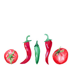 Watercolor hand drawn tomato and chili pepper