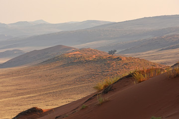 Elim-Düne in der Abendstimmung (Namib-Naukluft Nationalpark in Namibia)