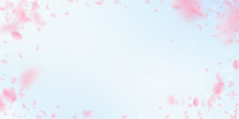 Sakura petals falling down. Romantic pink flowers 