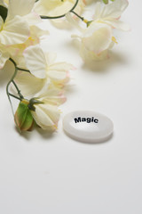 Obraz na płótnie Canvas White flowers with a stone that depicts magic.