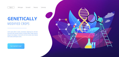 Scientists with magnifier looking at huge DNA in the pot. Genetically modified plants, GM crops and biotech crops concept on white background. Website vibrant violet landing web page template.