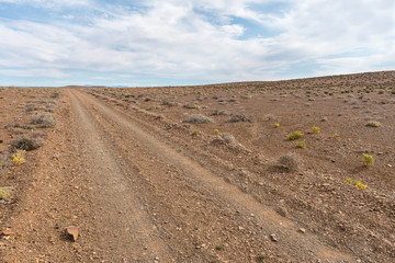 Fototapeta na wymiar Badly corrugated gravel road in the Tankwa Karoo