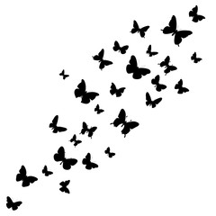 Plakat vector isolated, butterflies flying, background