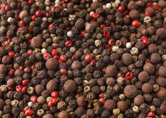 Organic spices mix concept.