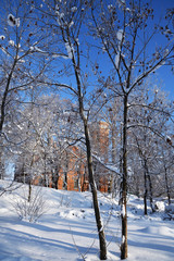 Fototapeta na wymiar Winter park on sunny day, Russia