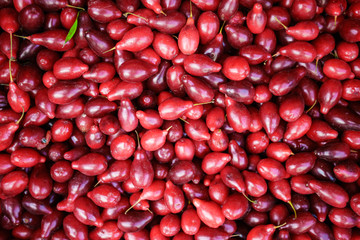 dogwood berry  background. dogberry
