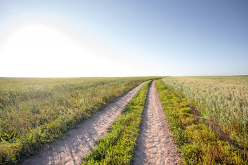 Dirt road in the field, going beyond the horizon. Sunbeam illuminates the fields of wheat.