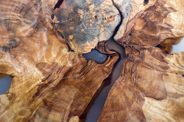 Tree cut slice section, uneven shape, natural texture, soft colored brown and yellow stump natural...