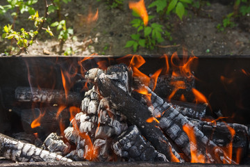 Fire and firewood in a burning brazier against the background of greenery