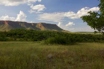 Serra das Mangabeiras no Parque Nacional das Nascentes - Barreiras do Piau&iacute; - Piau&iacute; - Brasil 11/2017