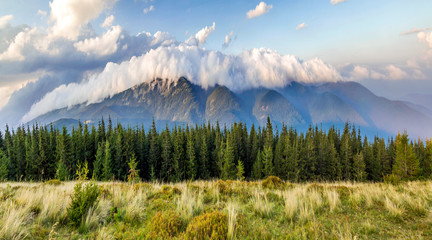 Beautiful dramatic white clouds over mountains. Forest hills in Carpathian mountains. Ukraine.