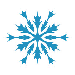 Isolated Snowflake Shape
