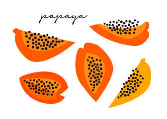 Hand drawn papaya. Paper cut style. Colored vector set. All elements are isolated