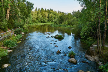 Slowly streaming river