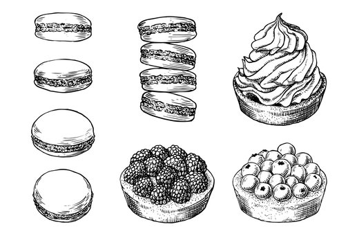 Set of delicious hand drawn creamy biscuit, french macaroons and tarts with berries. Engraving style pen pencil painting retro vintage vector lineart illustration. Collection of sweet desserts.