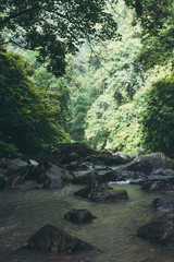 Naklejka na ściany i meble Mountain river landscape, Bali island, Indonesia. Close to waterfall Sekumpul.