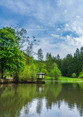 Pond  in Teutoburg Forest nearby Silbermuele, Germany