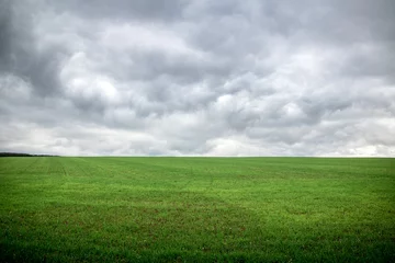 Selbstklebende Fototapete Himmel graue Gewitterwolken über grüner Wiese