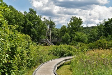 Boardwalk to a suspension bridge