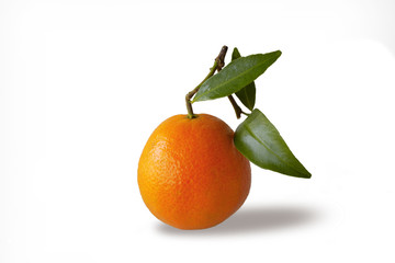 frische Apfelsine mit Blättern, freigestellt