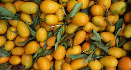 Large heap of kumquats, Citrus japonica is the scientific name, Food background and texture
