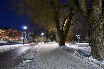 Road in park in Helsinki at night