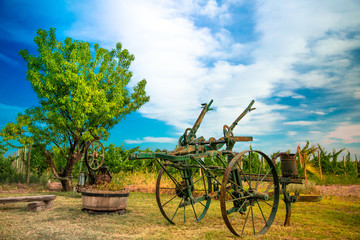Fototapeta premium bicycle in the field